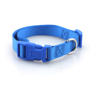 dog collar